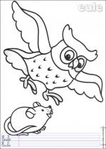 coloriage-chouette-1